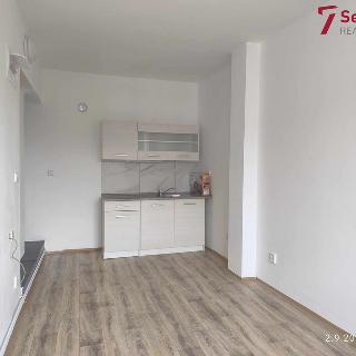 Pronájem bytu 1+kk a garsoniéry 22 m² Žďár nad Sázavou, Smetanova