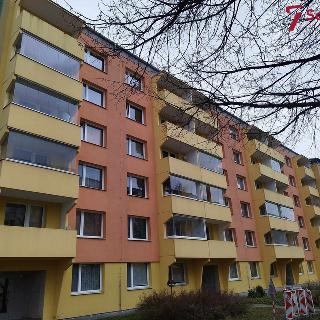 Pronájem bytu 1+1 36 m² Jihlava