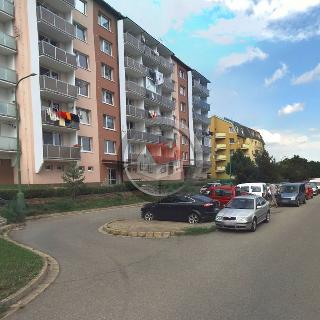 Pronájem bytu 2+1 60 m² Třebíč, Modřínová