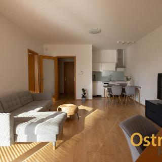 Pronájem bytu 2+kk 50 m² Ostrava, Blahoslavova