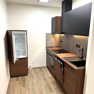 Prodej bytu 1+1 45 m² Praha, Čimická