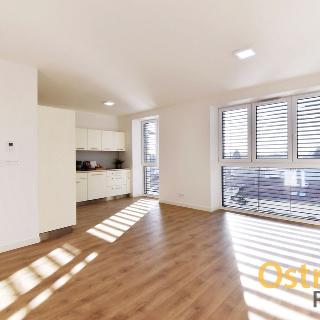 Pronájem bytu 3+kk 71 m² Ostrava, Lidická