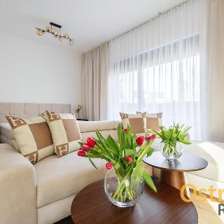 Pronájem bytu 1+kk a garsoniéry 32 m² Ostrava, Na Františkově