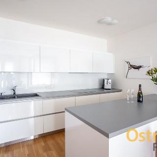 Pronájem bytu 4+kk 96 m², Biskupská