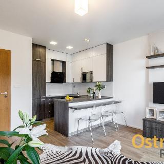 Pronájem bytu 3+kk 57 m² Ostrava, Vítězná