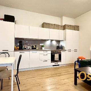 Pronájem bytu 2+kk 49 m² Olomouc, Michalská