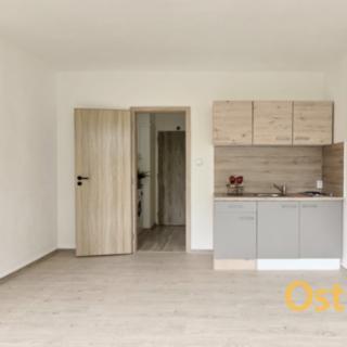 Pronájem bytu 1+kk a garsoniéry 22 m² Ostrava Hrabůvka, Krakovská