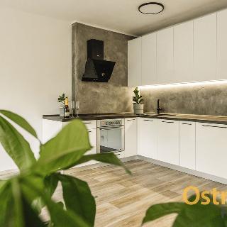 Pronájem bytu 1+kk a garsoniéry 31 m² Ostrava, Studentská