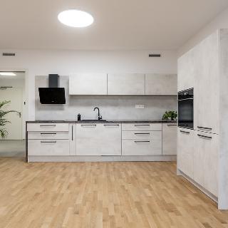 Pronájem bytu 2+kk 73 m² Ostrava, Dlouhá