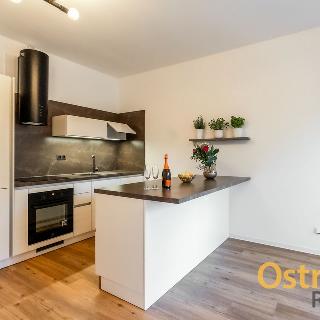 Pronájem bytu 1+kk a garsoniéry 35 m² Ostrava, Na Baranovci