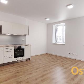 Pronájem bytu 2+kk 50 m² Ostrava, Lidická