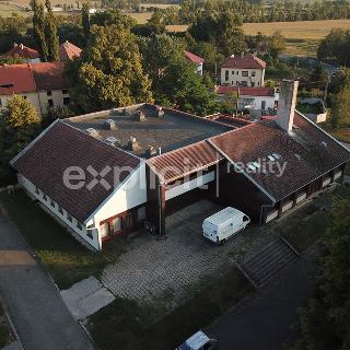 Pronájem skladu 1 288 m² Nivnice, Komenského