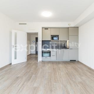 Pronájem bytu 1+kk a garsoniéry 33 m² Uherský Brod, U Mlýnů