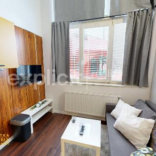 Pronájem bytu 1+kk a garsoniéry 32 m² Zlín, Devadesátá