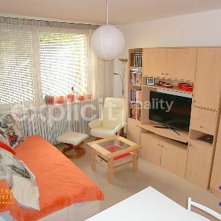 Pronájem bytu 1+kk a garsoniéry 28 m² Zlín, L. Váchy