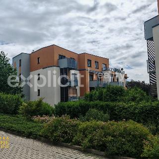 Pronájem bytu 2+kk 53 m² Praha, Jeřabinová