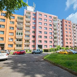 Prodej bytu 3+1 80 m² Aš, Neumannova