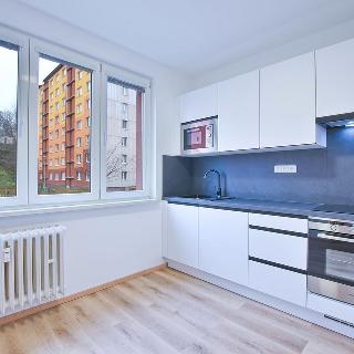 Pronájem bytu 3+1 67 m² Aš, Hlavní