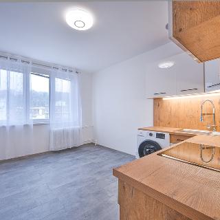 Pronájem bytu 1+1 36 m² Aš, Karlova