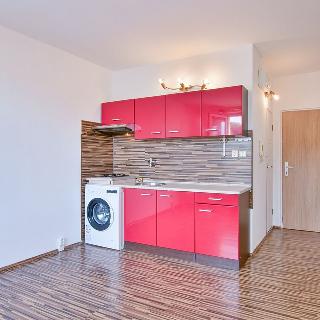 Pronájem bytu 1+kk a garsoniéry 20 m² Aš, Karlova