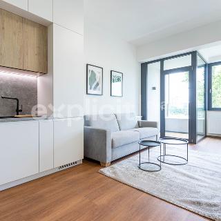 Pronájem bytu 1+kk a garsoniéry 33 m² Brno, Opuštěná