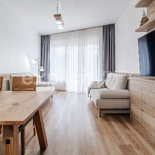 Prodej hotelu a penzionu 66 m² Dolní Morava, 