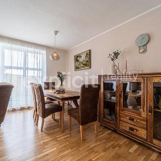 Prodej rodinného domu 234 m² Trstěnice, 