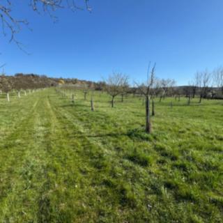 Prodej zemědělské půdy 2 139 m² Strážnice