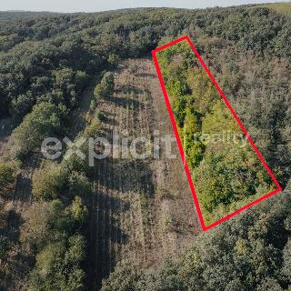 Prodej zemědělské půdy 3 496 m² Kobylí, 