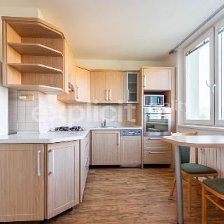 Pronájem bytu 3+1 76 m² Brno, Olbrachtovo náměstí