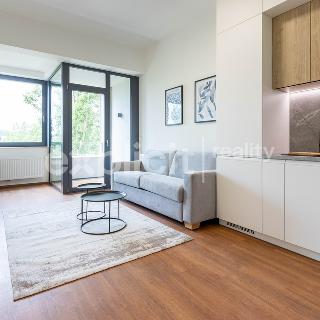 Pronájem bytu 1+kk a garsoniéry 32 m² Brno, Opuštěná