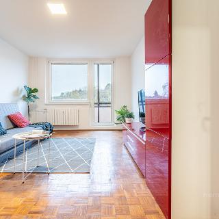 Pronájem bytu 1+1 33 m² Zlín, Družstevní