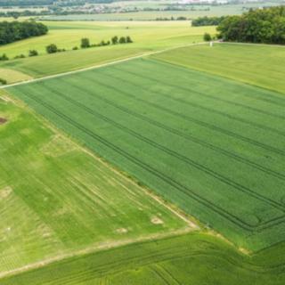 Prodej stavební parcely 4 089 m² Měrotín