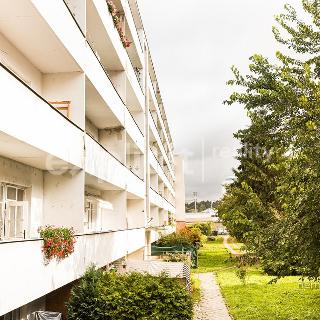 Prodej bytu 2+kk 45 m² Brno, Staňkova