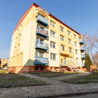 Prodej bytu 3+1 28 m² Hluk, Závodní