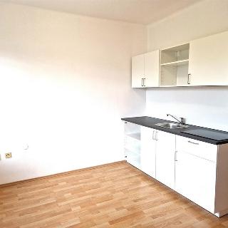 Pronájem bytu 2+kk 32 m² Olešná