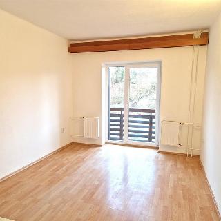 Pronájem bytu 1+kk a garsoniéry 21 m² Olešná