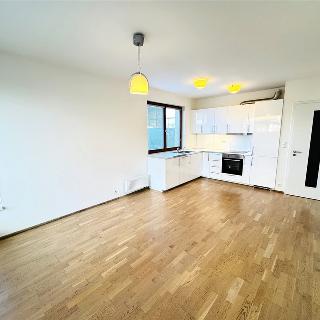 Pronájem bytu 2+kk 54 m² Praha, Plzeňská