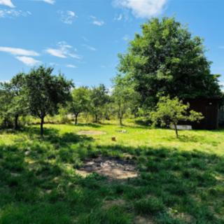 Prodej stavební parcely 802 m² Církvice