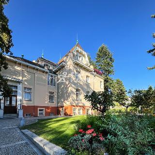 Pronájem kanceláře 83 m² Brno, Hlinky