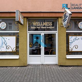 Pronájem Ostatních komerčních prostor 9 m² Plzeň