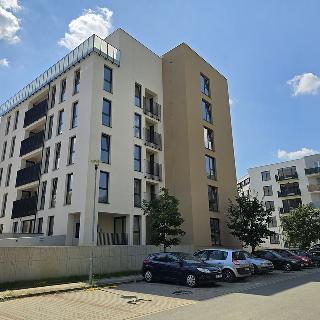 Pronájem bytu 1+kk a garsoniéry 30 m² Plzeň, Goldscheiderova