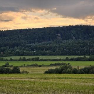 Prodej zemědělské půdy 8 385 m² Hostomice, 