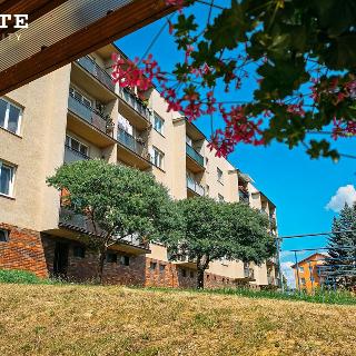 Prodej bytu 3+1 79 m² Vejprnice, Plzeňská