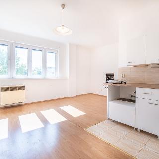 Prodej bytu 1+kk a garsoniéry 27 m² Praha, Obětí 6. května