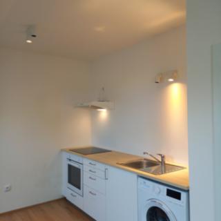 Pronájem bytu 1+kk a garsoniéry 34 m² Roztoky, Lidická