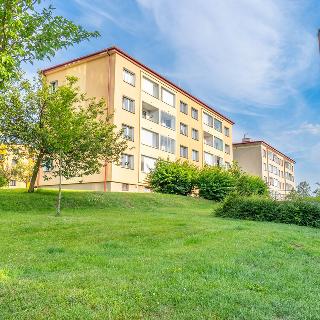 Prodej bytu 2+1 57 m² Zruč nad Sázavou, Družstevní