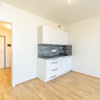 Pronájem bytu 1+kk a garsoniéry 11 091 m² Praha, Fafkových