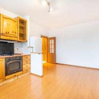 Pronájem bytu 3+kk 52 m² Praha, Antala Staška