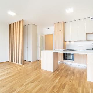 Pronájem bytu 1+kk a garsoniéry 34 m² Praha, Fafkových